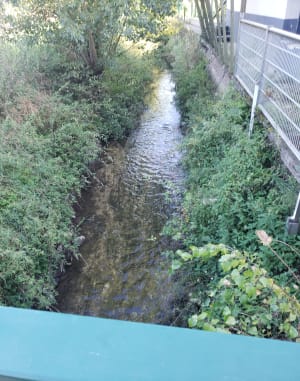 Balade à Annequin par le marais de Cambrin - Annequin - 3