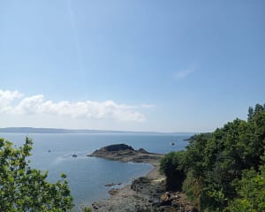 Pointe et Îles du Bendy - Logonna-Daoulas - 21