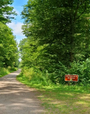 Forêt et pavés autour de la Scarpe - Marchiennes - 2