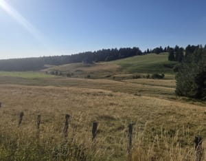 La Stèle et La Tour-d'Auvergne à VTT - La Tour-d'Auvergne - 3