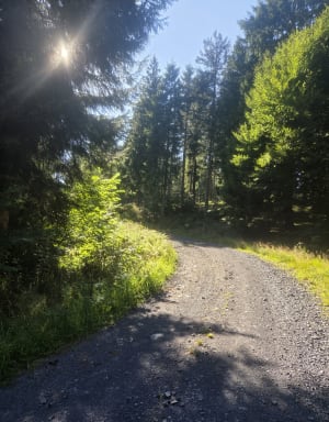 La Stèle et La Tour-d'Auvergne à VTT - La Tour-d'Auvergne - 4
