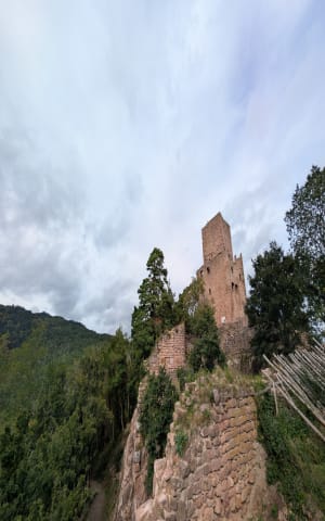 Randonnée des castels d'Husseren-les-Châteaux - Husseren-les-Châteaux - 15