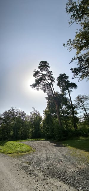 Le Calvaire, par la Tuilerie et le Bois Mathieu - Rambervillers - 13