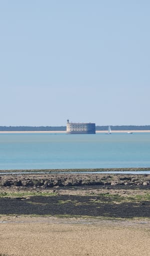 Le tour de l'île d'Aix - Île-d'Aix - 11