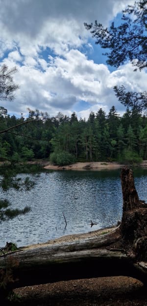 Boucle du Lac de Pierre-Percée, et Roche des Corbeaux - Pexonne - 30