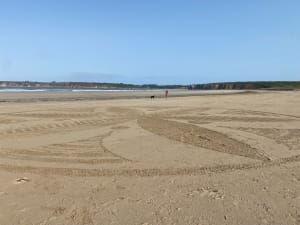 Balade entre GR34, campagne et plages de Kersiguénou - Crozon - 9