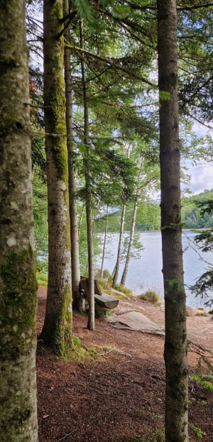 Boucle du Lac de Pierre-Percée, et Roche des Corbeaux - Pexonne - 33