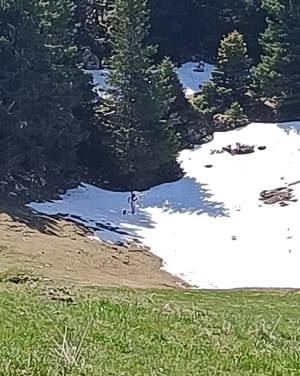 Le Mont Veyrier de long en large - Leschaux - 4