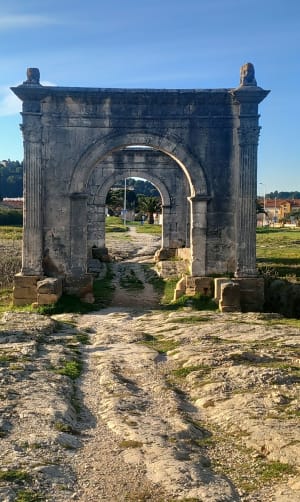 La petite Camargue à St Chamas - BERNARD - 13