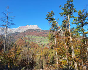 Super balade et panorama à 360 depuis Sallanches ! - Raphaëlle - 25
