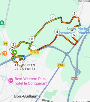 Forêt verte - Bois-Guillaume - 2