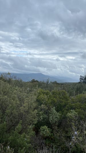 Trail en passant par le Mont du Marseillais - Peypin - 12