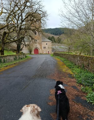 Balade de Magrin à Bonnecombe - Calmont - 6