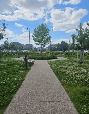 Miasteczko Wilanów - Warszawa - 7