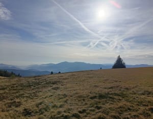 Boucle depuis le lac de la Lauch - Linthal - 5