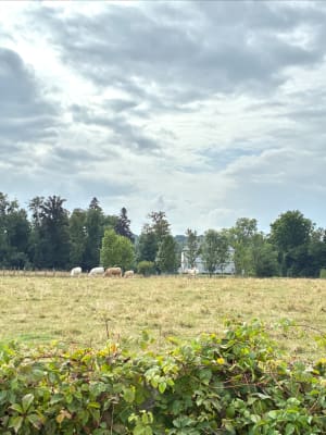 Les hauts du mont, Boulot - Boulot - 12