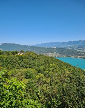 Circuit avec le Castor et la chapelle - La Chapelle-du-Mont-du-Chat - 27