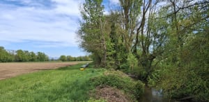 Sentier du Steinbaechlein à Morschwiller-le-Bas - Morschwiller-le-Bas - 5