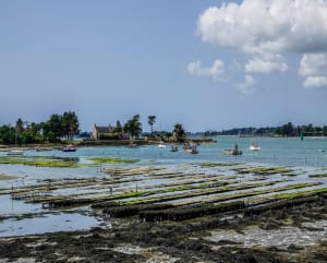 Sentiers côtiers de Port Anna et douces lumières du golfe - Séné - 14