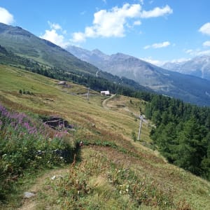Découverte de Landry et de sa nature savoyarde préservée - Lanslevillard - 17