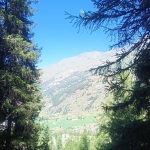 Découverte de Landry et de sa nature savoyarde préservée - Lanslevillard - 19