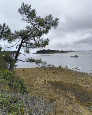 Plage de Lomiquel et Larmor-Baden - Baden - 7