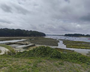 Plage de Lomiquel et Larmor-Baden - Baden - 9