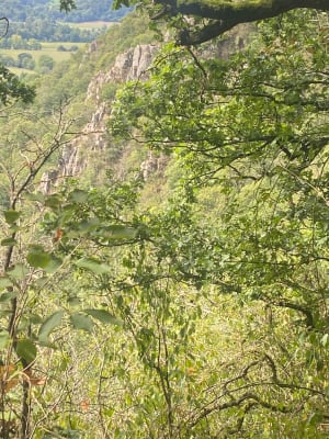 Sentier nature des Rochers de la Houle - Clécy - 11