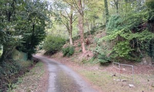 Circuit dans les petits chemins creux autour de St-Lô - Saint-Lô - 5