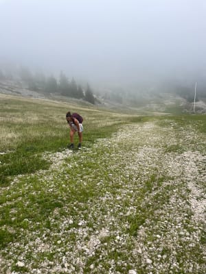 Le Pas de l'Oeille à Villard-de-Lans - Villard-de-Lans - 11