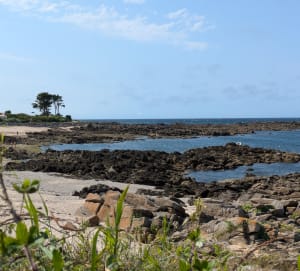 S'attarder sur l'Ile d'Yeu et son sublime Chemin de Noroit - STEPHANE - 4