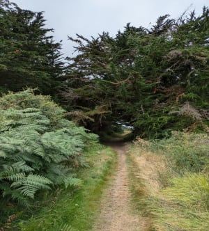 S'attarder sur l'Ile d'Yeu et son sublime Chemin de Noroit - STEPHANE - 6