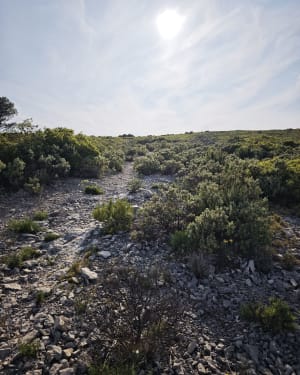 Couronne de Charlemagne depuis Severiers - La Ciotat - 11