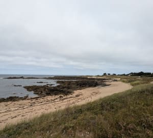 S'attarder sur l'Ile d'Yeu et son sublime Chemin de Noroit - STEPHANE - 7
