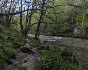 Des gorges de l'auvezere aux forges de Savignac Lédrier - Saint-Mesmin - 30