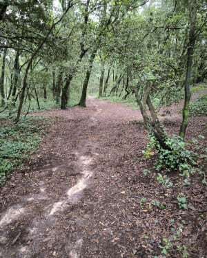 St Marc, Ste Marguerite, dunes et forêt - Saint-Nazaire - 23