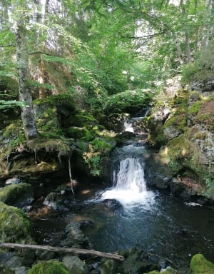 Cascades de Chiloza au départ de Besse - Besse-et-Saint-Anastaise - 17