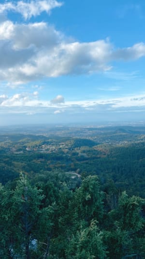 Bas des crêtes col Sainte Anne - Mimet - 14