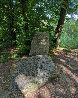 Hauteurs, landes, lac et bois - Peyrat-le-Château - 12