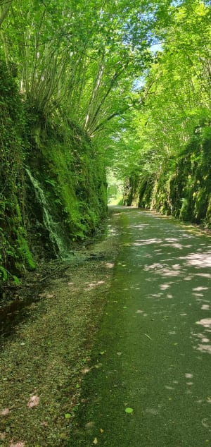 Wandeling in de Gorges de Crosery - Thiéfosse - 4
