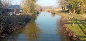 Etang de Romelaëre et niche faunistique - Clairmarais - 37
