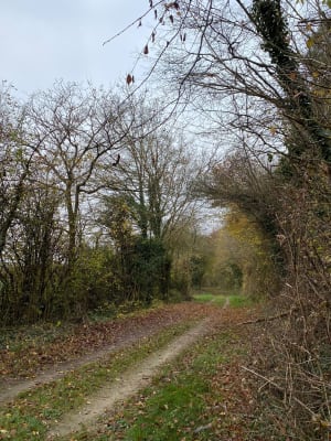 Boucle entre Plessier-Rozainvillers et la vallée de l'Avre - Le Plessier-Rozainvillers - 17