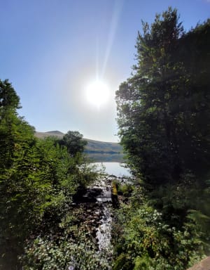 Frisse lucht bij het meer van Guéry en prachtige bloemenlandschappen - Mont-Dore - 11