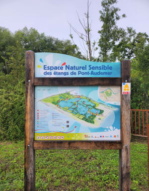 Balade aux étangs de la Balastière - Sandrine - 12
