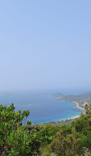 Boucle cimetière Marin sentier des crêtes - Ajaccio - 5