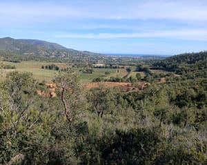 Lac de Trapan et son écrin de verdure - Bormes-les-Mimosas - 36