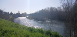 Balade en bordure de Garonne à Saubens - Virginie - 4