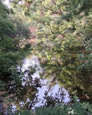 Le long du canal au départ de La Hume - Gujan-Mestras - 2