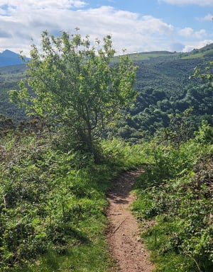 Boucle du col d'Ibardin par le GR 10 - Urrugne - 29