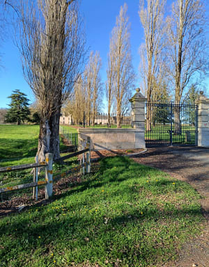 Clermont-Créans-Entre chevreuils et blaireaux - Clermont-Créans - 10